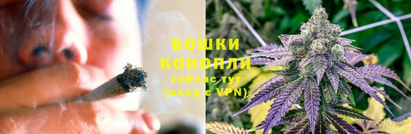 СК Бородино