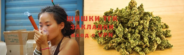 СК Бородино