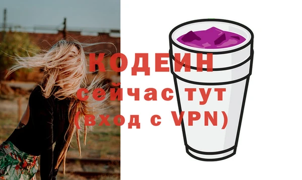 СК Бородино