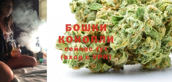 СК Бородино